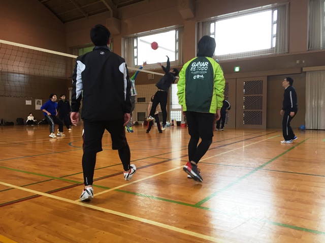 バレー2017秋