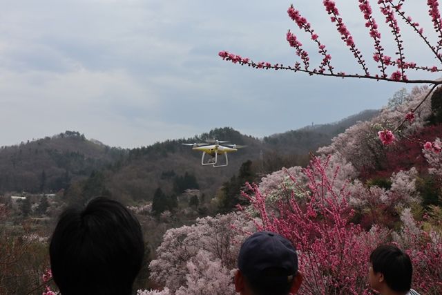 小旅行4